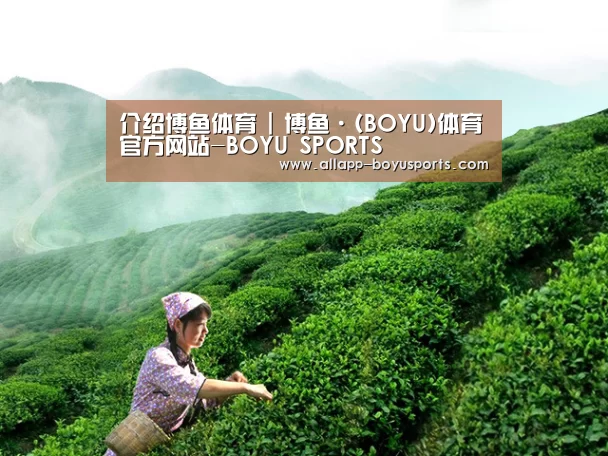 介绍博鱼体育 | 博鱼·(BOYU)体育官方网站-BOYU SPORTS