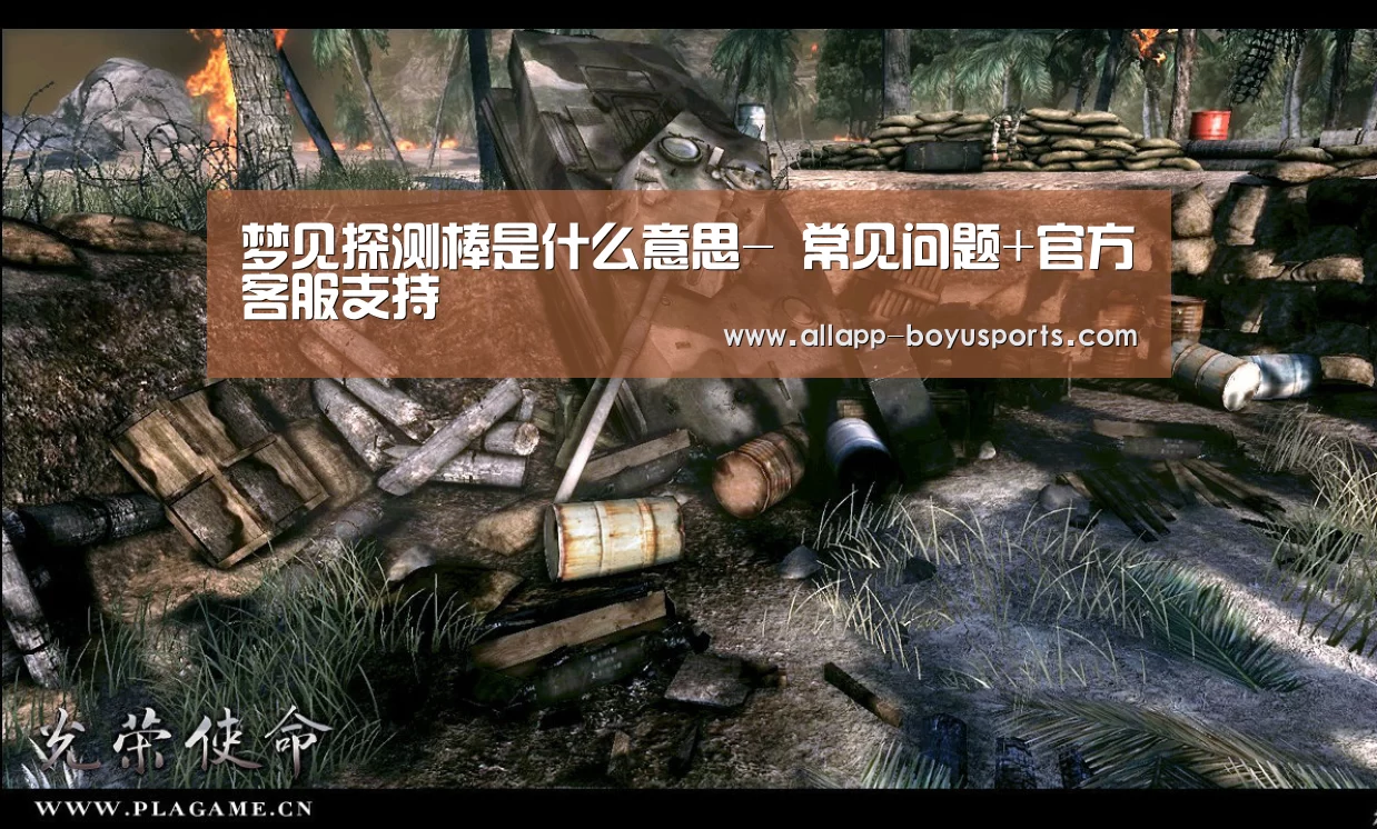 梦见探测棒是什么意思- 常见问题+官方客服支持(图3) 博鱼体育帮助中心