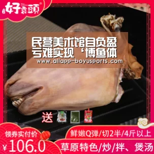 民营美术馆自负盈亏难实现‘博鱼体育帮助中心 ’(图3) 博鱼体育帮助中心