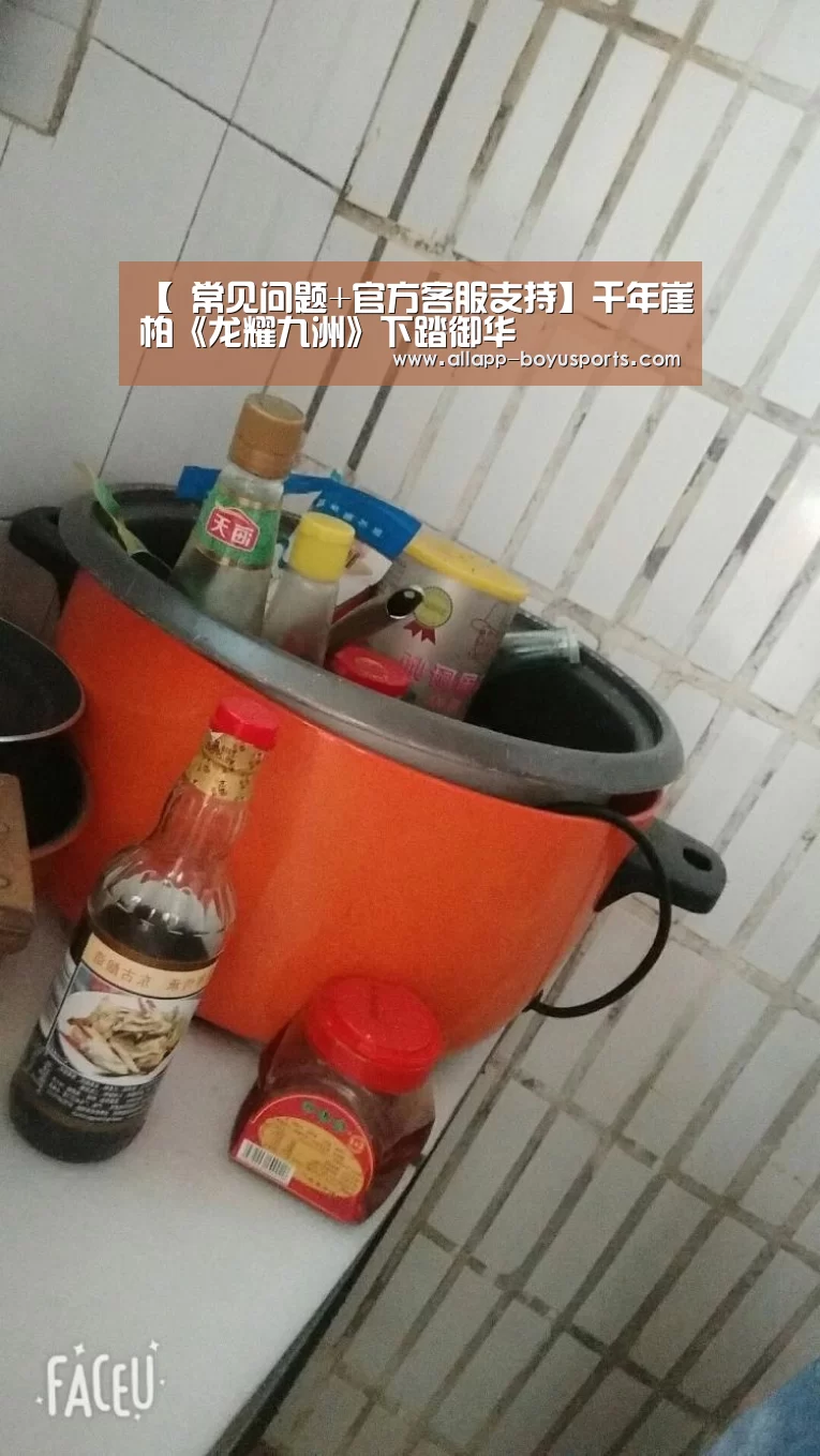  常见问题+官方客服支持