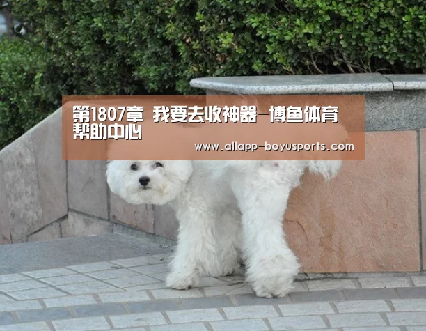 第1807章 我要去收神器-博鱼体育帮助中心 (图3) 常见问题+官方客服支持