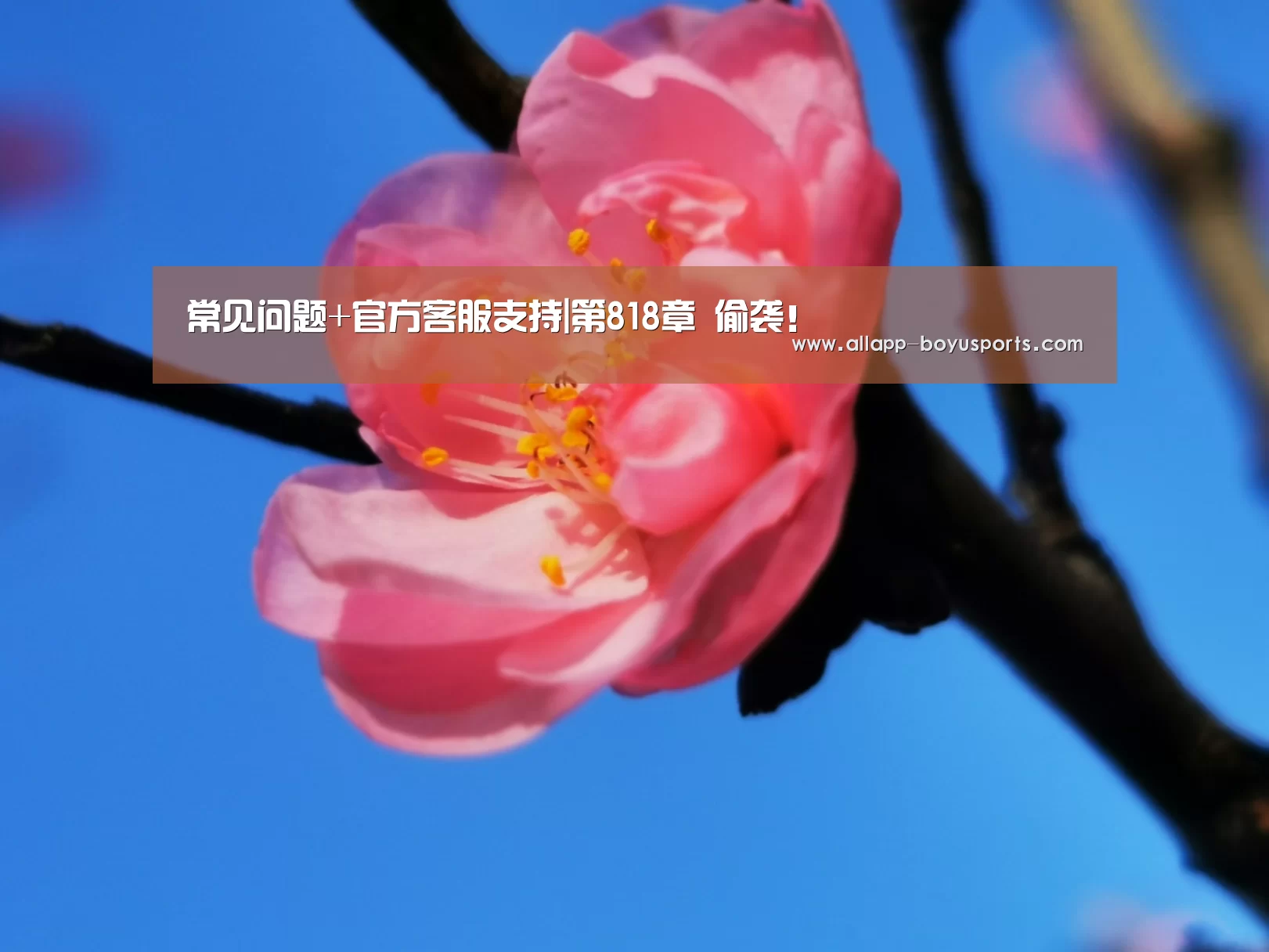 常见问题+官方客服支持|第818章 偷袭!(图2) 常见问题+官方客服支持