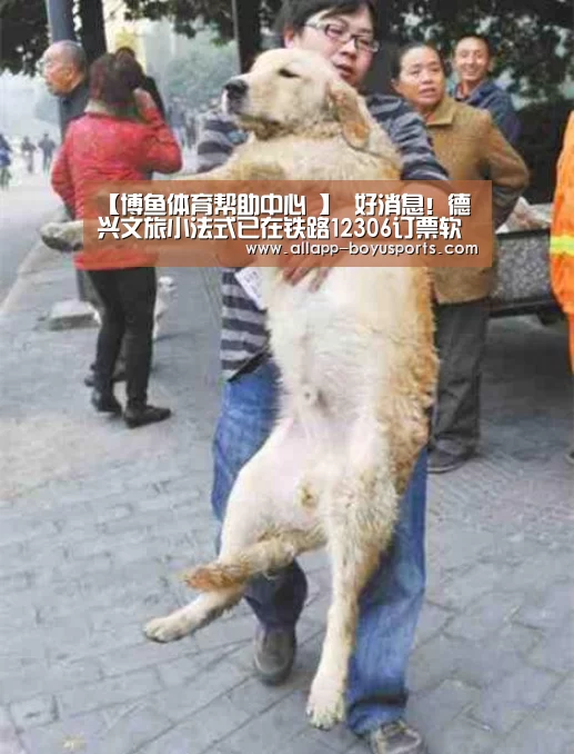  常见问题+官方客服支持