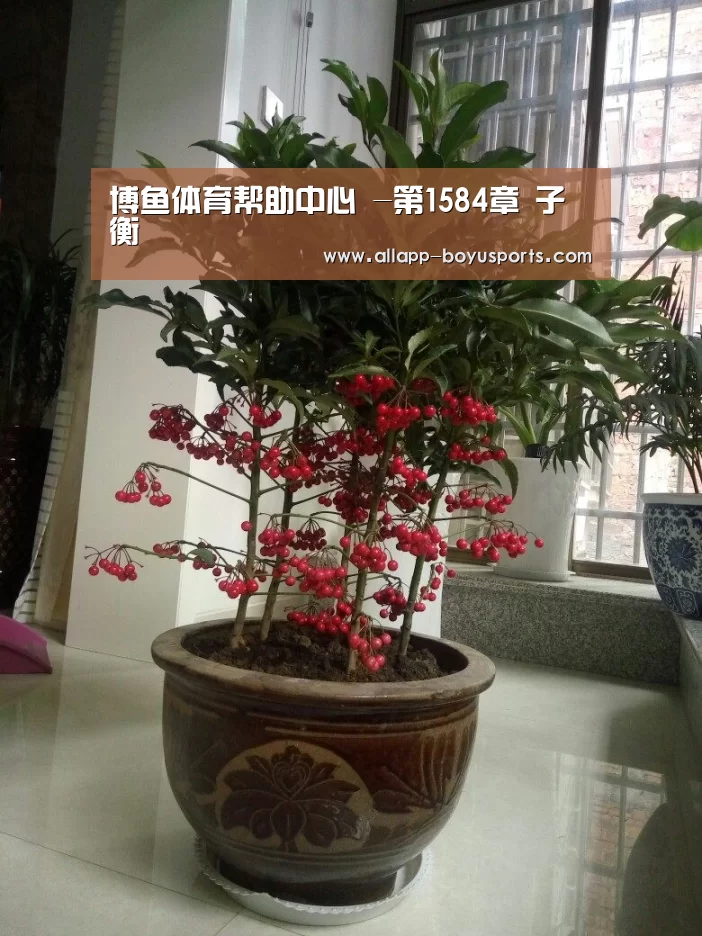 博鱼体育帮助中心 