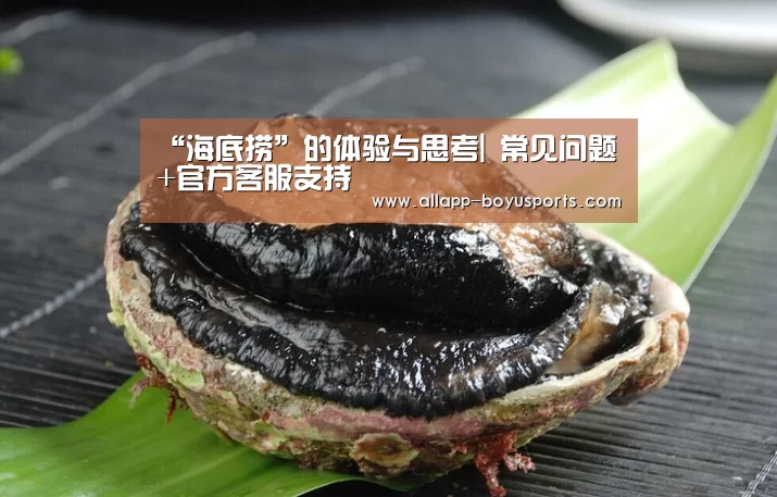 “海底捞”的体验与思考| 常见问题+官方客服支持(图1) 常见问题+官方客服支持
